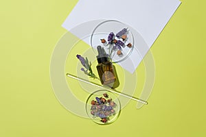 An unlabeled bottle of serum is placed next to two petri dishes and a glass wand with lavender flowers on a pastel background.