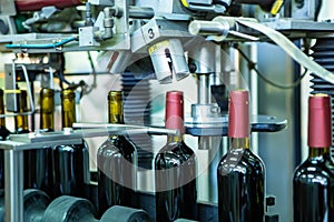 Unlabeled glass bottles in bottling machine at modern winery