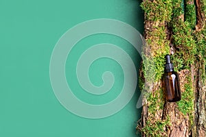 Unlabelled cosmetic bottle on green background, natural moss over branches, bark. Skin care, organic body treatment, spa