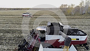 Unloading corn harvest and transportation on field