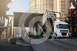 Unloading grain truck at elevator on elevating hydraulic platform unloader. Grain crops transshipment at big sea