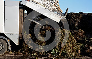 Unloads bio-waste from a garbage truck. the man has opened the lid and will tip the contents of the cargo at the composting plant.