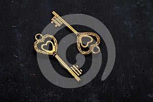 Unlock My Heart - Two Heart Shaped Golden Vintage Keys