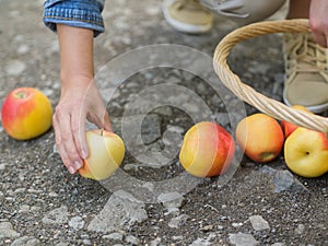 Unlucky woman with spilled apples