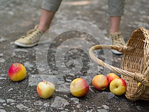 Unlucky woman with spilled apples