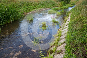 Unmaintained irrigation channel with vegetation in the summer