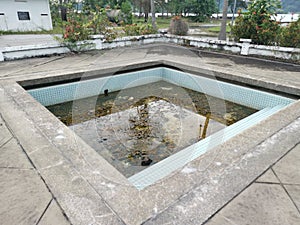 unmaintained outdoor swimming pool with algae floating on the water surface.