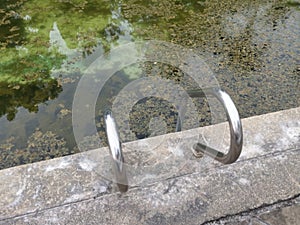 unmaintained outdoor swimming pool with algae floating on the water surface.