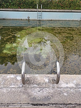 unmaintained outdoor swimming pool with algae floating on the water surface.