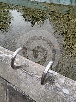 unmaintained outdoor swimming pool with algae floating on the water surface.