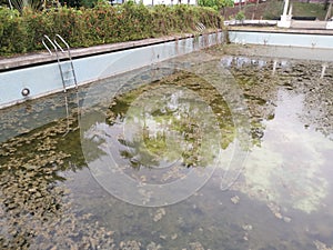 unmaintained outdoor swimming pool with algae floating on the water surface.