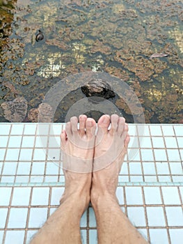 unmaintained outdoor swimming pool with algae floating on the water surface.