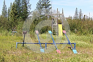 An unmaintained playground with overgrown grass