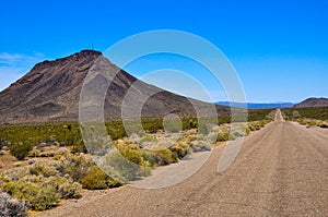 Unmaintained Route 66 photo