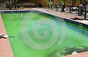 Unmaintained swimming pool with green algae