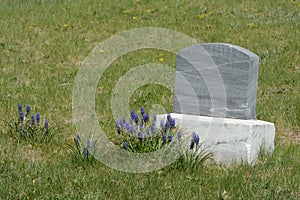 Unmarked gravestone photo