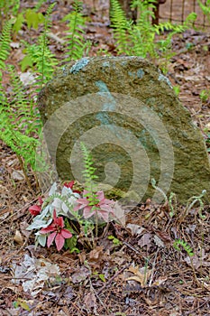 Unnamed Grave Marker in an Old Forgotten Cemetery