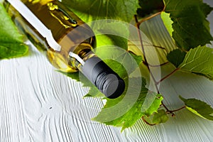 Unopened bottle of white wine and grapevine on an old wooden background