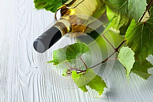 Unopened bottle of white wine and grapevine on an old wooden background