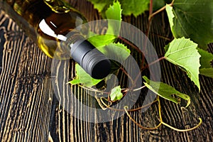 An unopened bottle of white wine and grapevine on an old wooden table