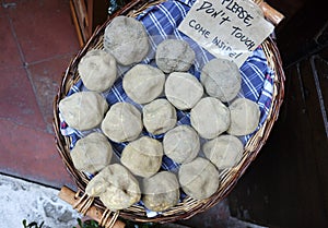 Unopened geodes for sale