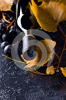Unopened red wine bottle, vine twig, and grapes