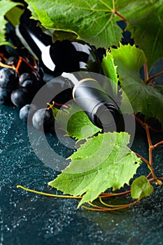 Unopened red wine bottle, vine twig, and ripe grapes on an old blue table