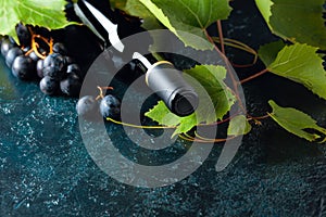Unopened red wine bottle, vine twig, and ripe grapes on an old blue table