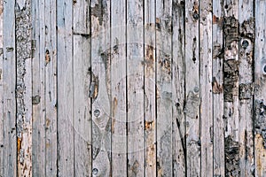 Unpainted wooden barn wall made of tightly fitted boards with peeling bark