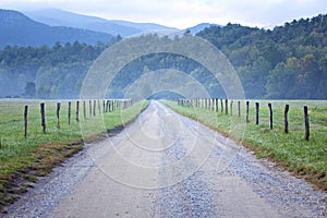 Unpaved country road and pasture photo