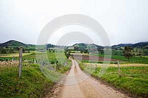Unpaved country road between the small towns of Ventaquemada and Turmeque in Colombia photo