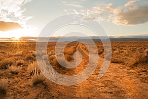 Unpaved desert road