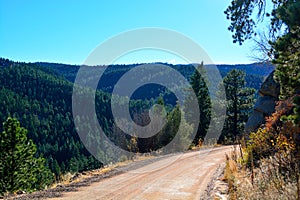 Unpaved Dirt Mountain Road on the Edge of a Cliff in a Pine Tree