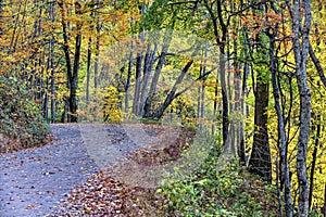 Unpaved Fall road with colorful trees photo