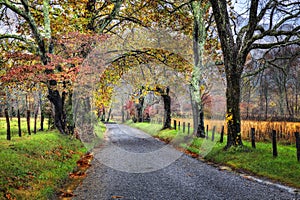 Unpaved Fall road with colorful trees photo