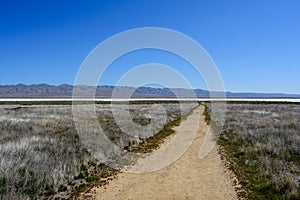 Unpaved hiking trail leads to salt flats of dry Soda Lake bed at Carrizo Plain National Monument on hot sunny day. Temblor Range photo