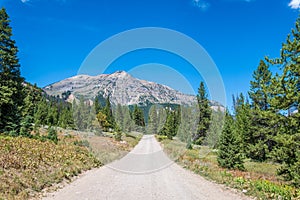 Unpaved mountain road