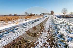 Unpaved path in winter