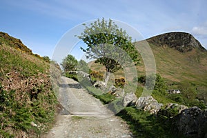 Unpaved road in country photo