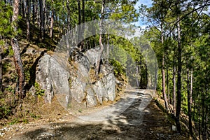 Unpaved road in the forest going nowhere in the mountains