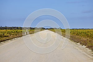 Unpaved Road At Kissimmee Prairie Preserve State Park