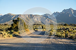 Unpaved road near the Hot Springs Geological Site in Mammoth Lakes California at the dusk golden hour. Leading lines