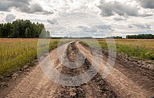 Unpaved roan in the countryside Russia.