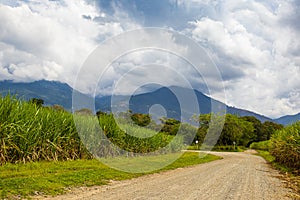 Unpaved rural road, sugar cane field and the Paramo de las Hermosas mountains at the Valle del Cauca region in Colombia photo