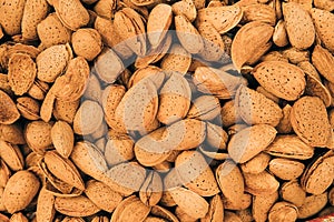 Unpeeled Almond Nuts Background. Natural Fresh Brown Nuts Nutshells.