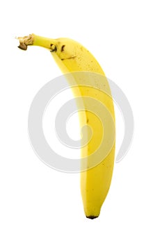 Unpeeled Banana photo