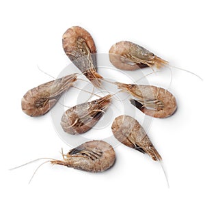 Unpeeled brown shrimps photo