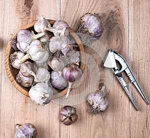 Unpeeled fresh garlic fruits in wooden bowl and an iron press