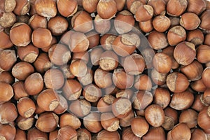 Unpeeled hazelnuts background texture. hazelnuts in shell