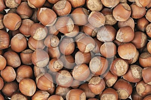 Unpeeled hazelnuts background texture. hazelnuts in shell